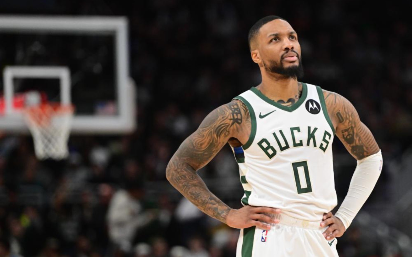 灵感见长 灵感见长