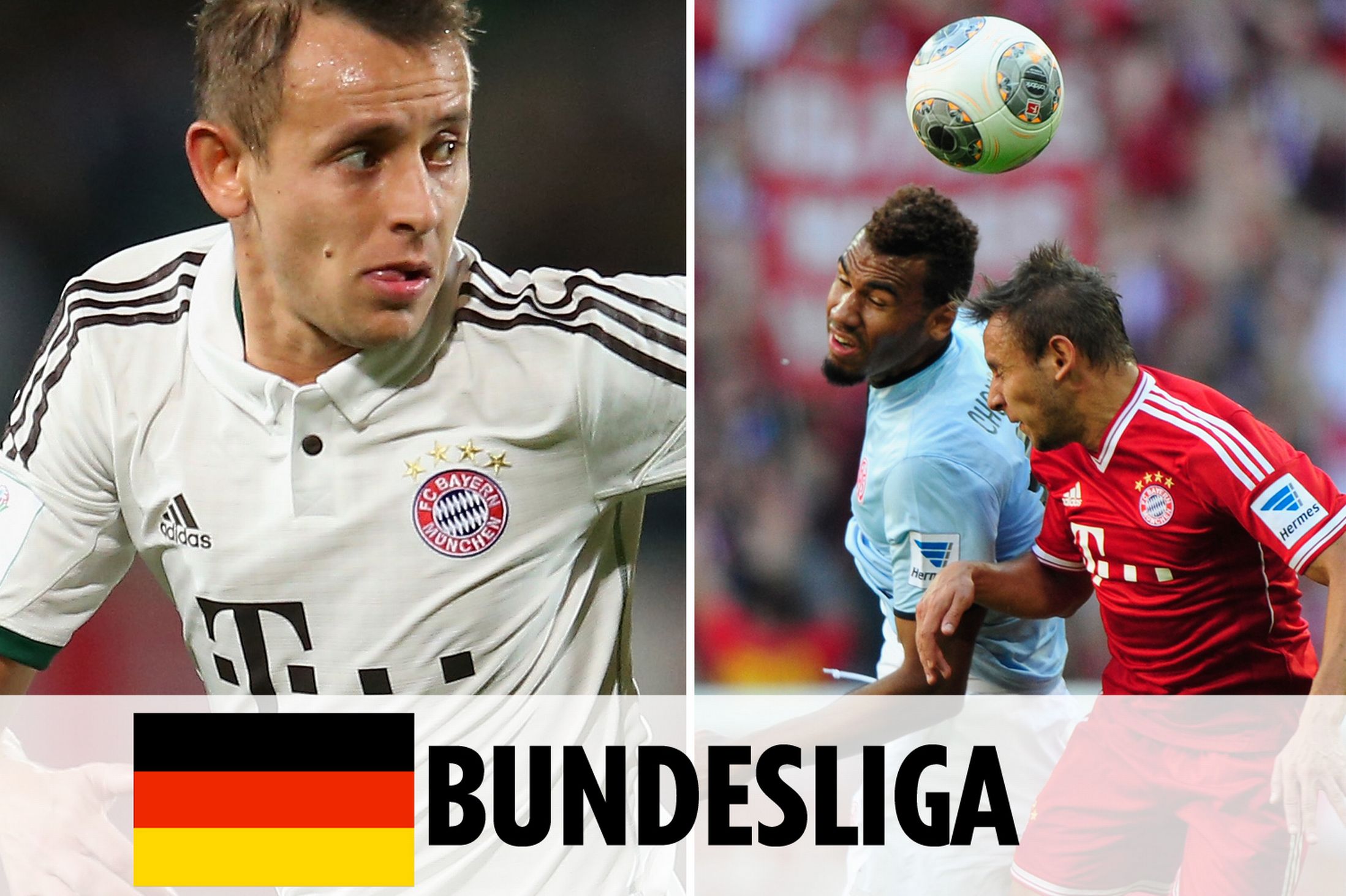 核心后卫亚 核心后卫亚